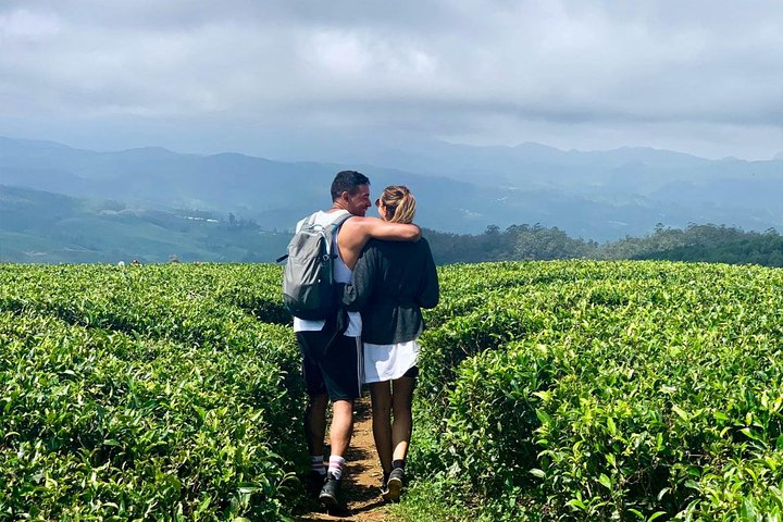 Hiking and Bird watching in Nuwara Eliya - Photo 1 of 25